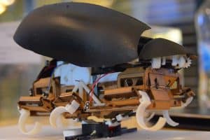 Robot-karaluch wykonuje precyzyjne skoki