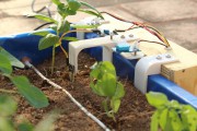 Miniaturowy, inteligentny ogródek z Raspberry Pi