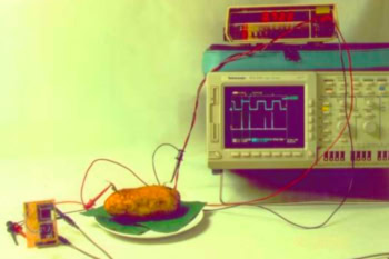 Artykuły i poradniki o elektronice od czytelników Forbota #7