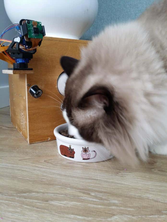 Cat feeder - automatyczny dozownik karmy